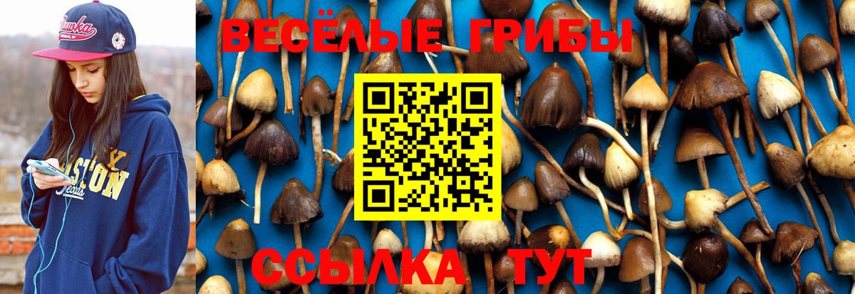Кулебаки  Псилоцибиновые грибы MAGIC MUSHROOMS  даркнет сайт  Вход с VPN 