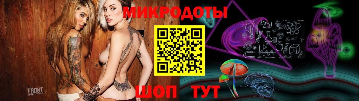 Галлюциногенные грибы Psilocybe Кулебаки